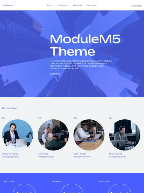 Company website with team and pricing made with Mobirise